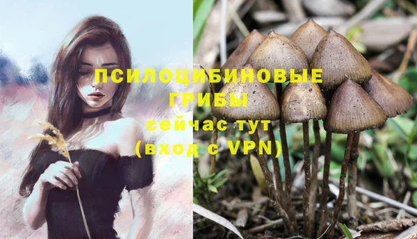 Альфа ПВП Магадан