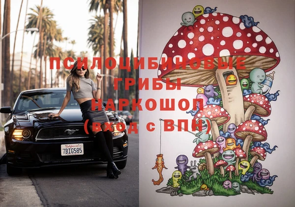Альфа ПВП Магадан