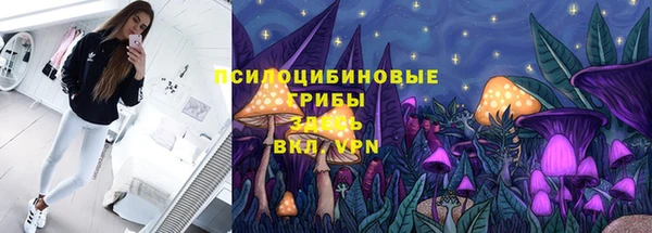Альфа ПВП Магадан